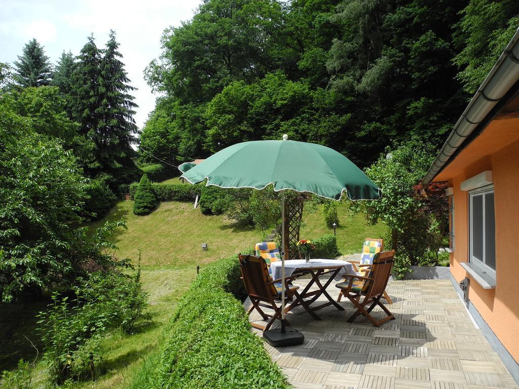 Ferienhaus Am Urzeitpark Sebnitz Hertigswalde Экстерьер фото